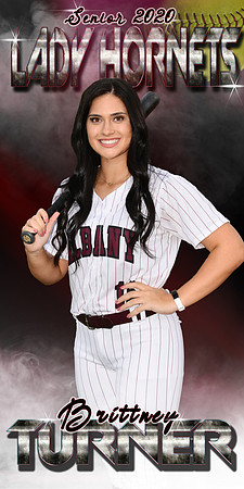 brittney turner banner