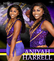 ANIYAH HARRELL BANNER