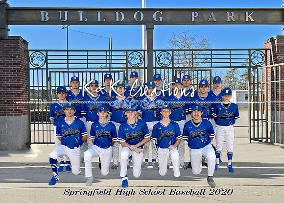 5X7 SHS BASEBALL 2020 TEAM