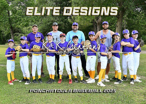 5X7 7-8B ELITE DESIGNS TEAM