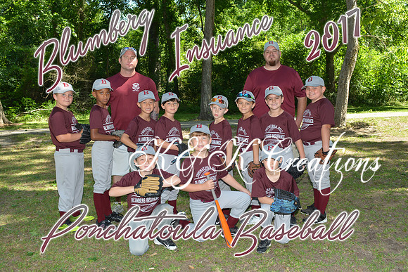 blumberg_team