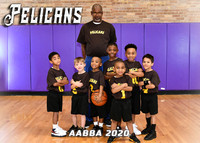 5X7 PELICANS TEAM