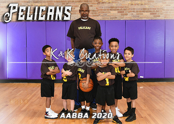 5X7 PELICANS TEAM