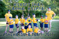 small animal team