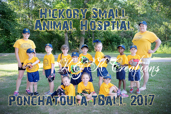 small animal team