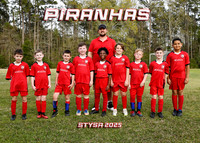 5X7 PIRANHAS TEAM BJ HILL