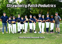 5x7 strawberry patch boys team