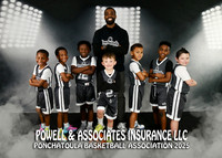 5X7 POWELL & ASSOC INS TEAM