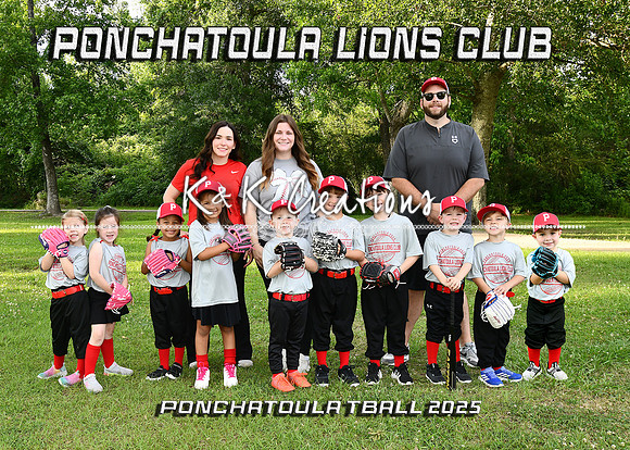 5X7 TBALL PONCHY LIONS CLUB TEAM