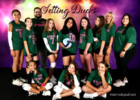 10-12 SETTING DUCKS