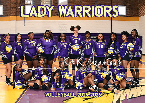 5x7 team volleyball ahs