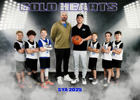 5X7 COLD HEARTS SYA TEAM