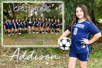 addison taylor mm