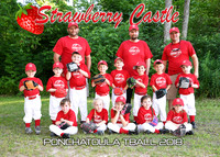 5x7 tball strawberry castle team
