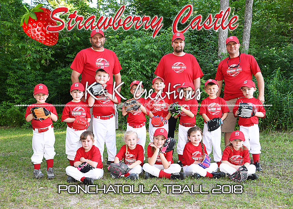 5x7 tball strawberry castle team