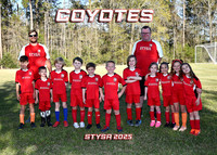 COYOTES - CLIFTON HARPER