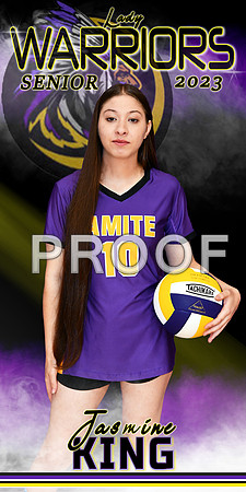 jasmine king VOLLEYBALLL BANNER