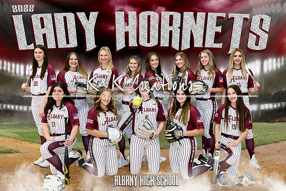 ALBANY HIGH SCHOOL SOTBALL BANNER 2436