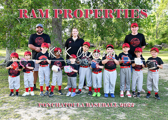 5X7 TBALL RAM PROPERTIES TEAM