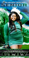 AALIYAH CLAY BANNER