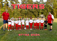 5x7 sytsa 5-6u tigers team