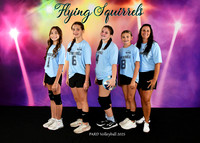 10-12 FLYING SQUIRRELS