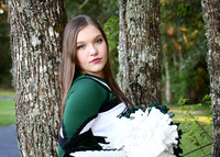 PHS Cheer 2019-2020