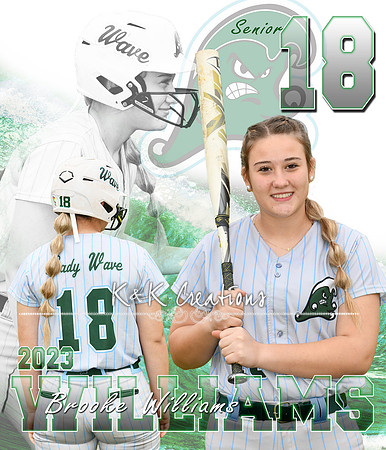 brooke williams banner