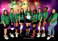 13-17 SPIKE YA LATER GATORS