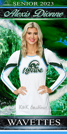 alexis dionne  BANNER