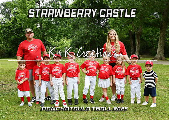 5X7 STRAWBERRY CASTLE TBALL TEAM