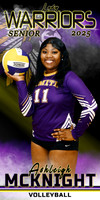 ashleigh mcknight banner 2x4 volleyball