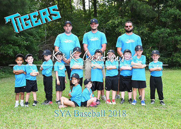 5X7 SYA TIGERS TBALL TEAM