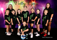 7-9 VOLLEY VIPERS