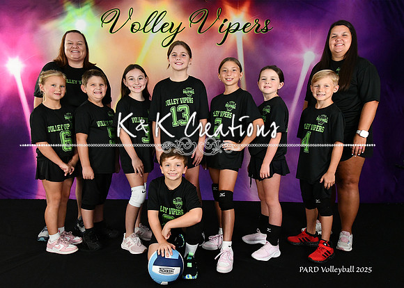 5X7 VOLLEY VIPERS 79 TEAM