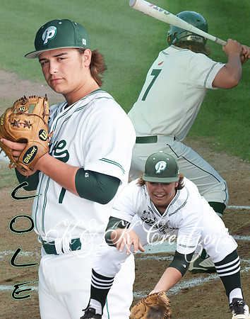 COLE WOLFE  COLLAGE FINAL