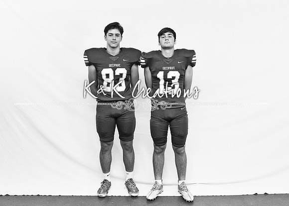 HBacks and TE_bw