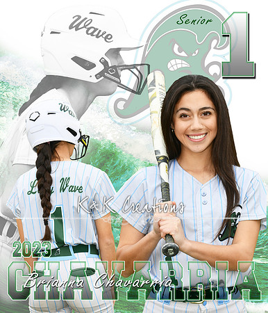 brianna chavarria banner