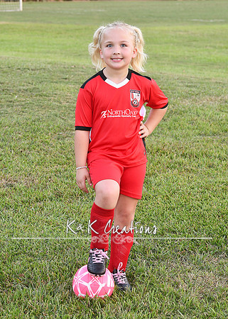 CHANDLER CASE_6488