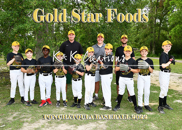 5x7 9 10 gold star foods team