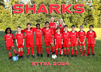 5X7 9-10U TEAM 1 STEVENS