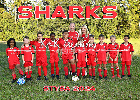 5X7 9-10U TEAM 1 STEVENS