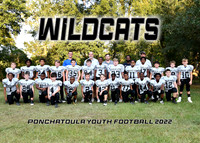 5X7 WILDCATS TEAM
