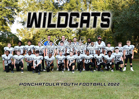 5X7 WILDCATS TEAM