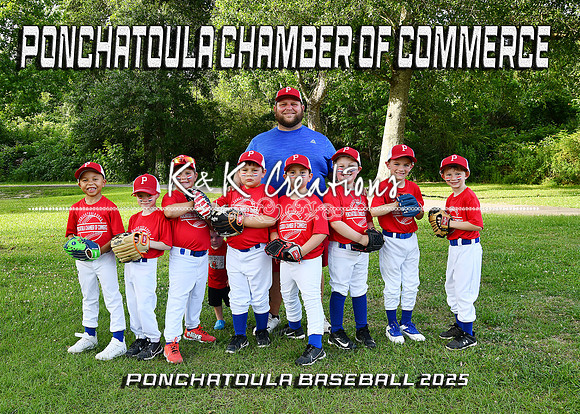 5X7 6CPB CHAMBER OF COMMERCE TEAM
