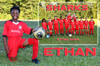 ETHAN PIERRE MM
