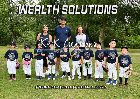 5X7 TBALL WEALTH SOLUTIONS TEAM
