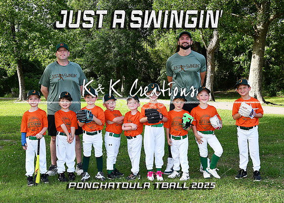 5X7 TBALL JUST A SWINGIN TEAM