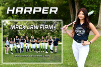 HARPER PEPITONE MM