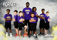 HORNETS